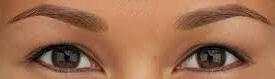 Lash